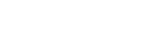 Team Hybrid